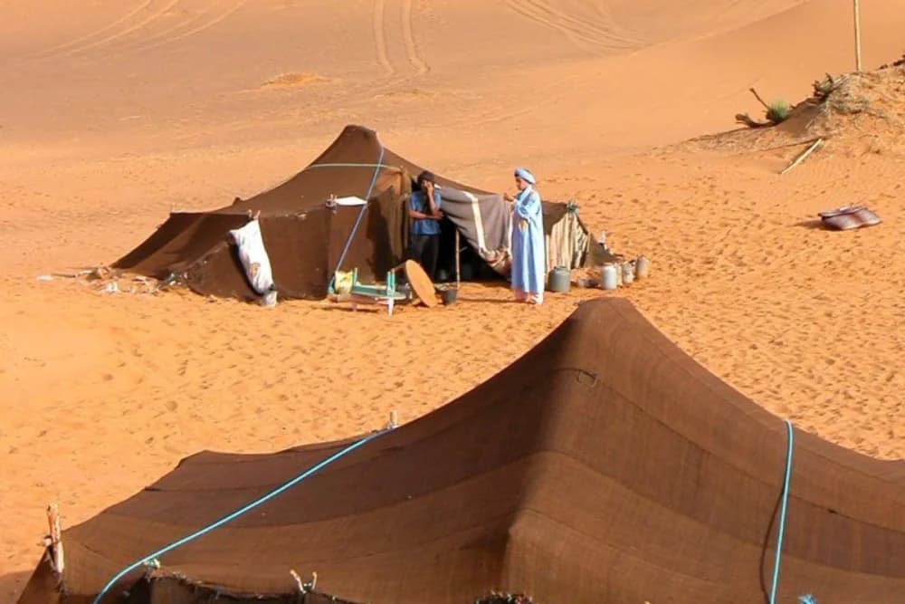 Merzouga Cultural Experience (2h30) – Nomad Rahala + Qatari Museum + Gnaoua + Fossils + Free Sandboarding - 4