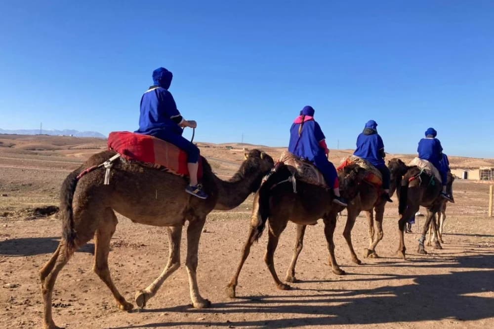 Agafay Camel Ride – Jellaba + 40-Min Ride + Moroccan Tea - 3