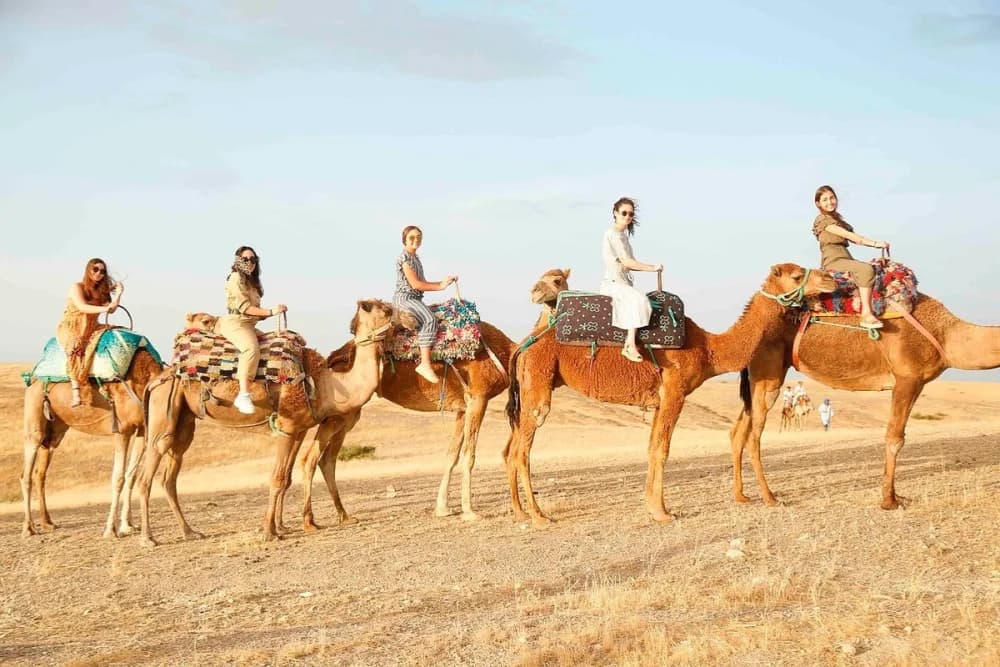 Agafay Desert Camel Ride – 1 Hour - 3