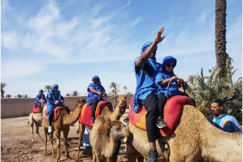 Camel Ride in Marrakech Palmeraie – 1-Hour Tour with Tea & Photos - 4